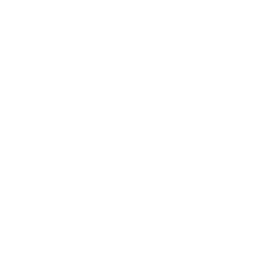 UE Icon White